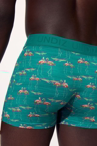 Parigamba - Verde acqua