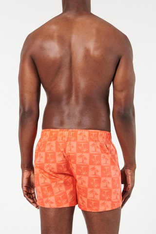 Boxer Soltiedyiz - Corallo