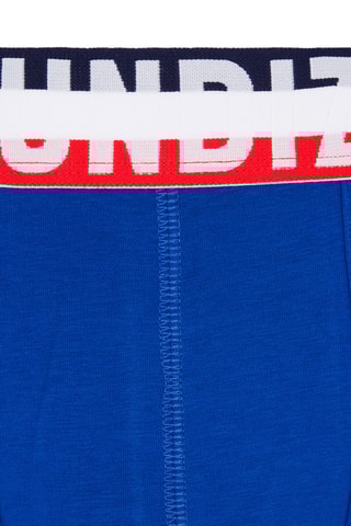 Boxers Frenchiz Azul-eléctrico