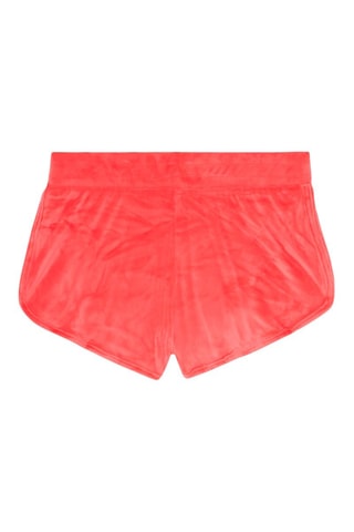 Shorts in velluto Titti e Silvestro Looney Tunes Veloulooneyiz - Rosa