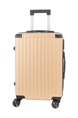 Handbagagetrolley -  en 