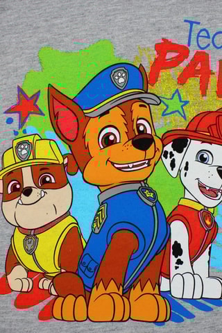 Camiseta y short La Patrulla Canina - Gris