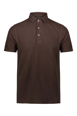 Polo - Marrón