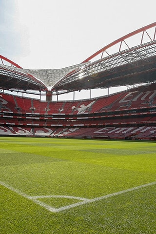 Coffret cadeau Visite du stade de Luz et musée avec écharpe et dîner - Smartbox