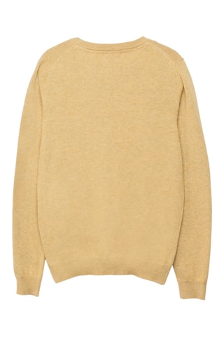 Trui - Gemêleerd Mosterdgeel