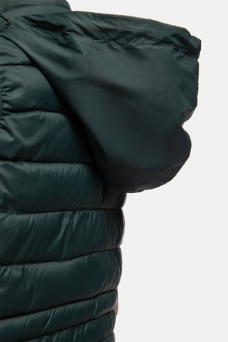 Bodywarmer - Donkergroen