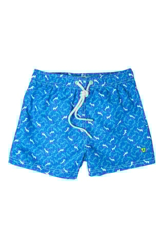 Zwemshort - Blauw