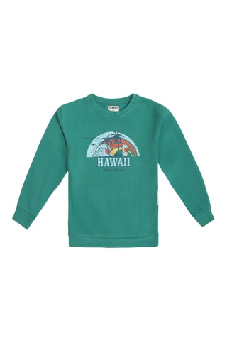 Sweater - Donkergroen