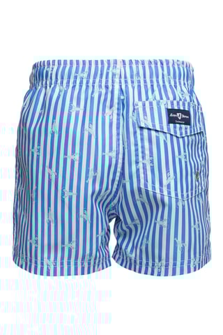 Zwemshort - Kobaltblauw