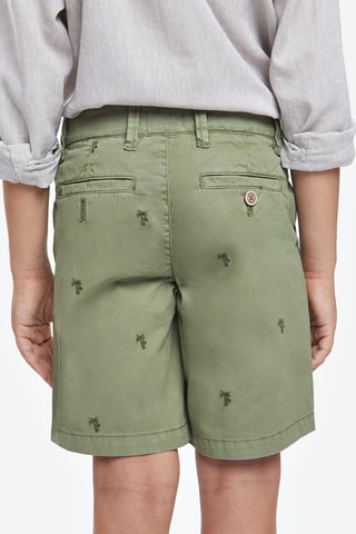 Bermuda - Lichtgroen