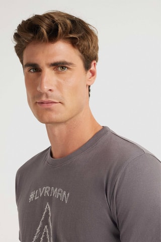 T-shirt Regular Fit - Grijs