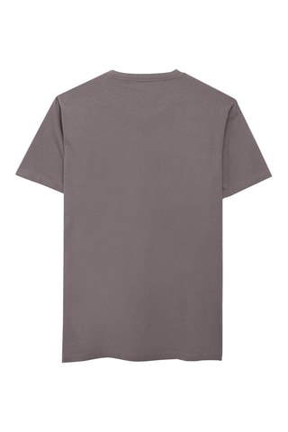 T-shirt Regular Fit - Grijs