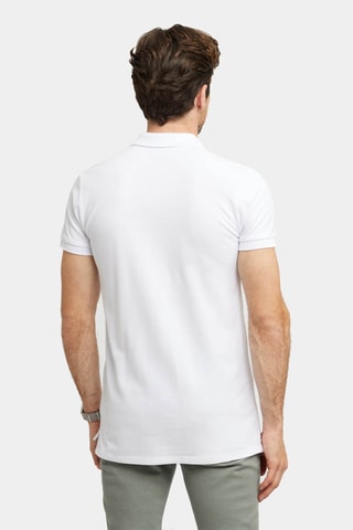 Polo Regular Fit - Wit