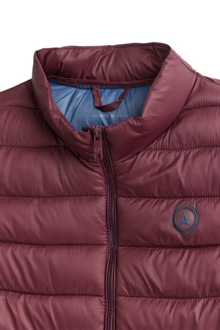 Bodywarmer - Bordeauxrood