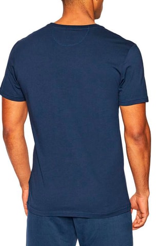 Camiseta - Azul y gris