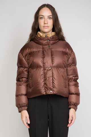 Anorak - Marrón y dorado