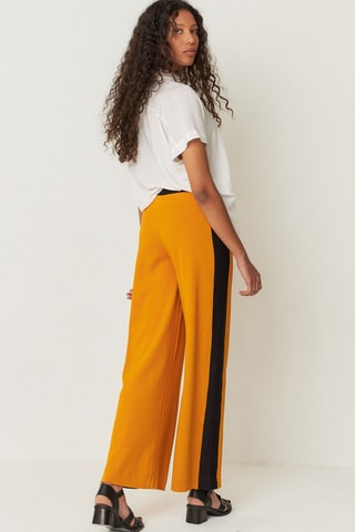 Calças direitas de cintura alta em algodão biológico Elixi - Laranja