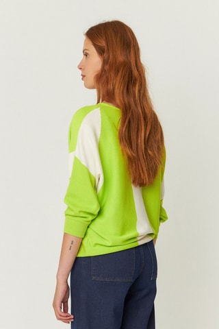 Camisola em algodão biológico Naike - Verde e branco