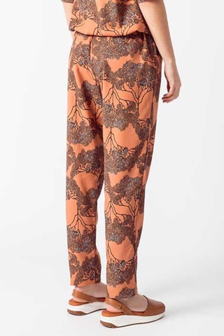 Calças Deitze - Castanho e camel - Castanho