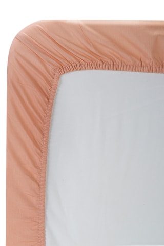 Lenzuolo sotto in cotone 55 fili/cm² - Rosa