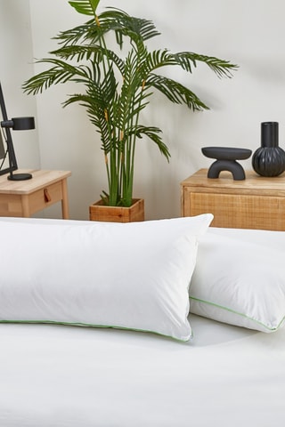 Guanciale - Semirigido