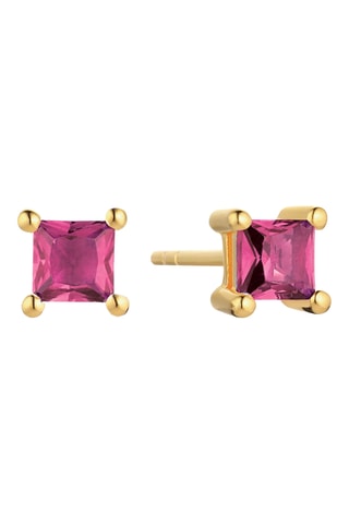 Oorbellen Zilver Doublé Geelgoud