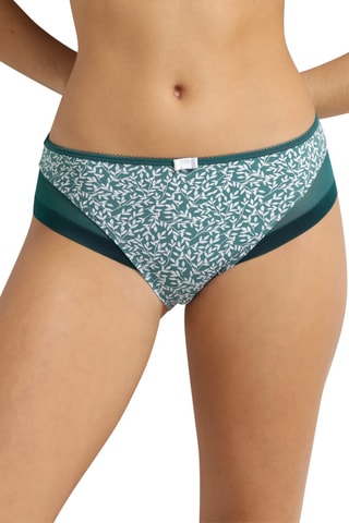 Culotte Generous Classic - Vert foncé et blanc - Dim