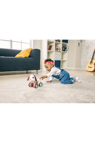 Cão eletrónico interativo - Dos 6 aos 12 anos