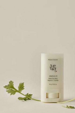 Stick Solaire Mat SPF 50+ - 18 g