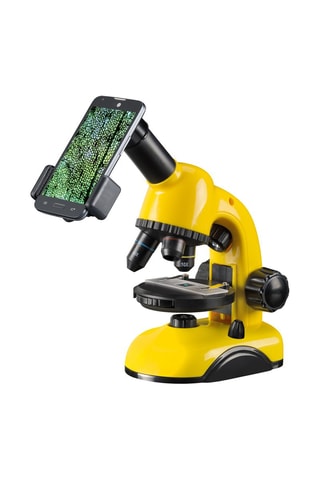 Microscopio - Desde 6 años - National Geographic