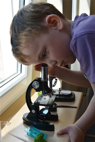 Microscopio x300 a x1200 Desde 6 años - National Geographic