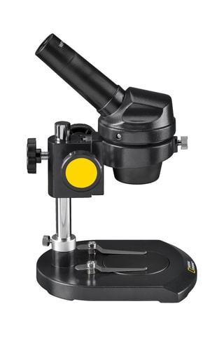 Microscopio - Desde 3 años - National Geographic