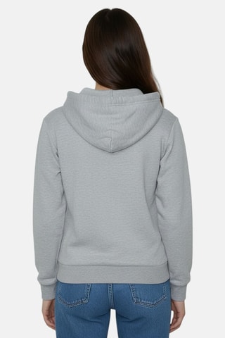 Jersey con capucha Ellesse - Gris