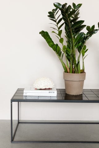 Table basse en céramique Glazed Coffee - 93 x 42,5 x 36 cm