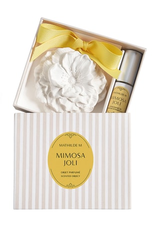 Décor parfumé et concentré de parfum Les Intemporelles Mimosa Joli - 4 ml