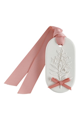 5 x Décor parfumé petit modèle - Délicate Verveine