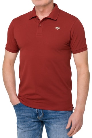 Polo regular - Bordeaux et beige