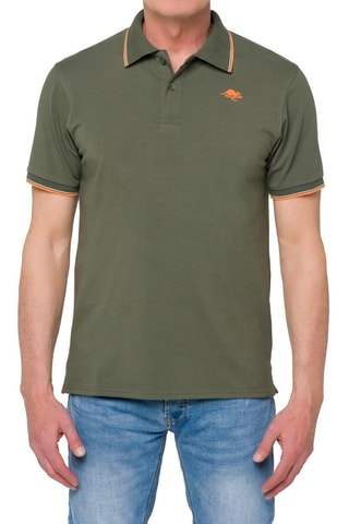 Polo regular - Autre et vert