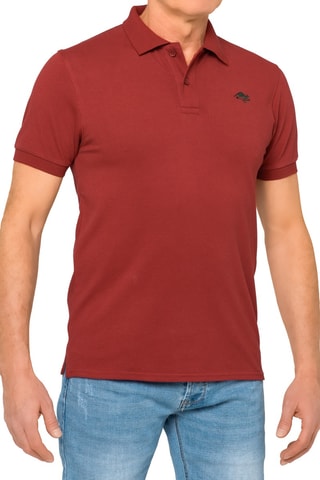 Polo regular Stoney - Bordeaux et kaki