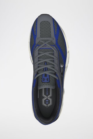 Baskets  Apparition - Gris