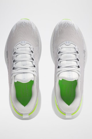 Chaussures de running Infinite - Gris