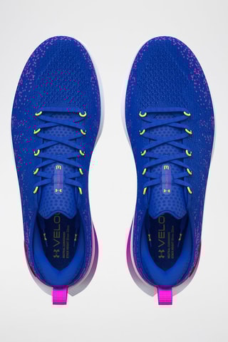 Chaussures de running - Bleu cobalt