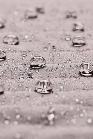 Veste Softshell - Gris clair