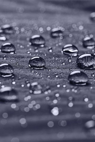 Veste Softshell - Bleu nuit