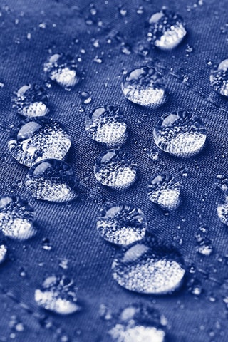 Veste Softshell - Bleu cobalt