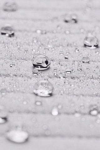 Veste Softshell sans manches - Blanc