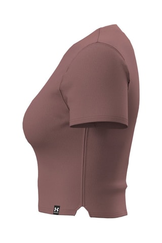 T-shirt cropped Rival Knit - Marron