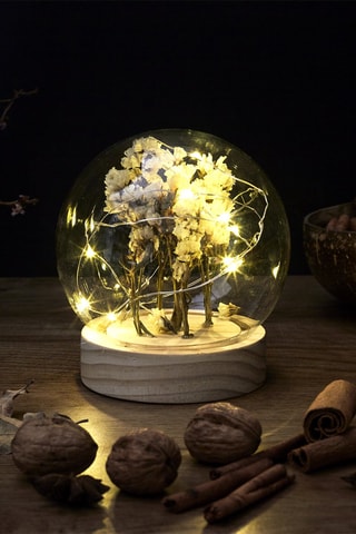 Lámpara redonda flores secas - Beige