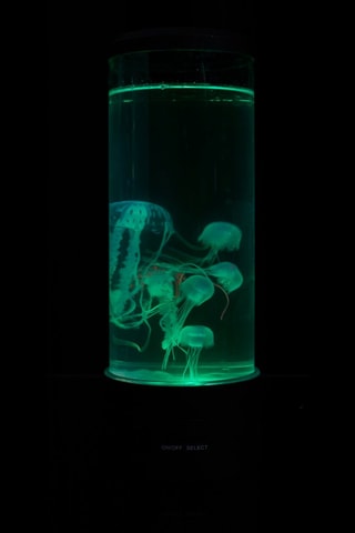 Lámpara de ambiente - Negro