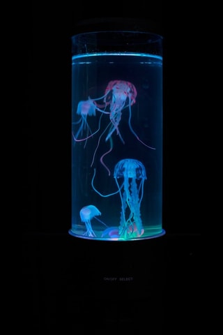 Lámpara de ambiente - Negro